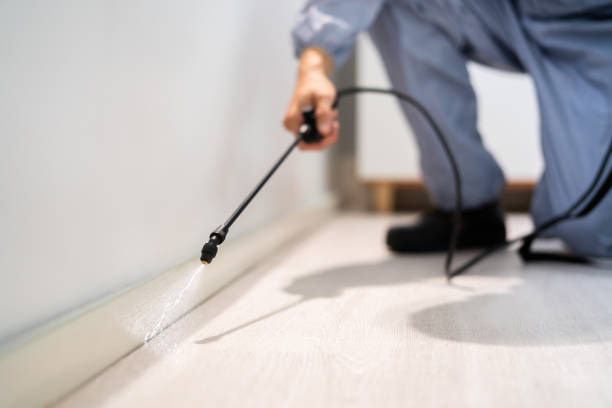 Licensed Rodent Control service in Lima, OH - Nex Pest Control