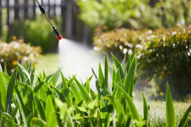 24/7 Emergency Rodent Control experts in Lima, OH