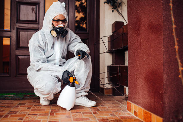 Reliable Rodent Control contractor in Lima, OH by Nex Pest Control